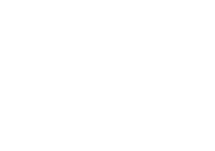 BAE white logo